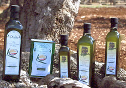 VIDEO LAVAGGIO OLIVE