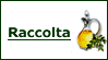 Raccolta